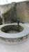 20130331104807-20130331-104807-417.jpg
