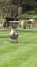 20130331105002-20130331-105002-418.jpg
