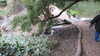 20130331115123-20130331-115123-459.jpg