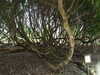 20130331121112-DSCF9875.JPG