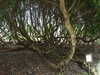 20130331121118-DSCF9876.JPG