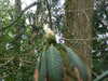 20130331121149-DSCF9880.JPG
