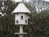 20130331121324-DSCF9882.JPG