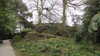20130331121405-20130331-121405-481.jpg