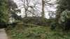 20130331121419-20130331-121419-482.jpg