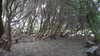 20130331121651-20130331-121651-483.jpg
