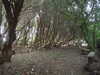 20130331121735-DSCF9883.JPG
