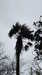 20130331122033-20130331-122033-490.jpg