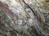 20130331122510-DSCF9887.JPG