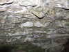 20130331122518-DSCF9888.JPG