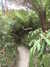 20130331122619-DSCF9889.JPG