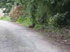 20130331123500-DSCF9891.JPG