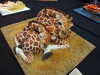 20130413134206-DSCF9934.JPG