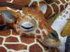 20130413134213-DSCF9935.JPG