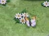 20130413134433-DSCF9942.JPG