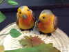 20130413134636-DSCF9947.JPG