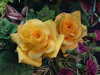 20130413134708-DSCF9948.JPG