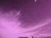 20130506170304-IMG_6183.JPG
