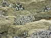 20130705123157-DSCF0021.JPG