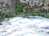 20130707182853-DSCF0062.JPG