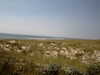 20130708211813-PICT0033.JPG