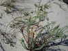 20130708212130-PICT0040.JPG