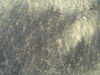 20130710111923-PICT0053.JPG