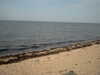 20130712221158-PICT0001.JPG