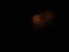 20130713230439-DSCF0162.JPG