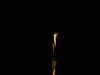 20130713230502-DSCF0164.JPG