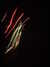 20130714230456-DSCF0207.JPG