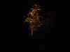 20130714230619-DSCF0212.JPG