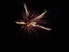 20130714230904-DSCF0228.JPG