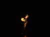 20130714231243-DSCF0239.JPG