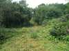 2013-07-27:Northern Skirmish
