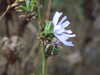 20131006163824-DSCF0264.JPG