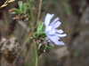 20131006163828-DSCF0265.JPG