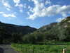 20131007172625-DSCF0298.JPG