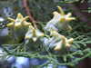 20131007173821-DSCF0304.JPG