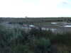 20131008163013-DSCF0318.JPG