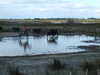 20131008163139-DSCF0319.JPG