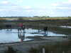 20131008163145-DSCF0320.JPG