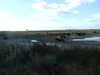 20131008163235-DSCF0323.JPG