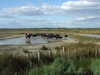 20131008163324-DSCF0325.JPG