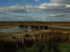20131008163328-DSCF0326.JPG