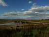 20131008163332-DSCF0327.JPG