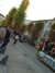 20131008173920-DSCF0333.JPG