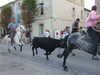 20131008180350-DSCF0341.JPG