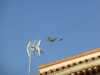 2013-10-09:Aigues Morts St Marie sur mer
