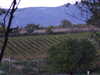 20131011191659-DSCF0404.JPG